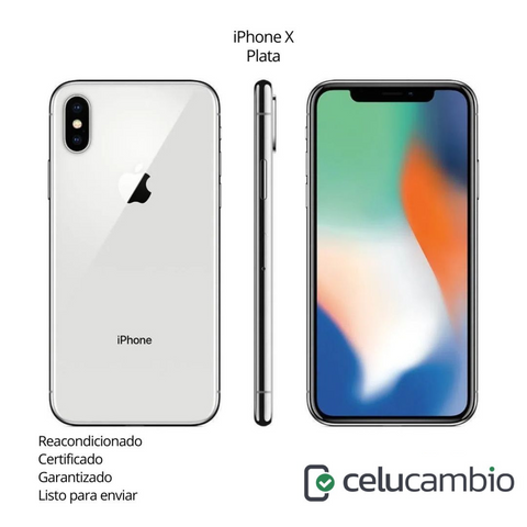 iPhone X
